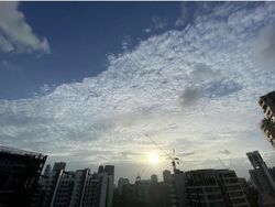 Balmoral Crest (D10), Apartment #475773211